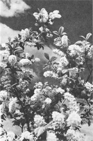 Дмитрий Зуев - Времена года