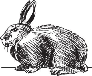 Сергей Кашин - Фермерское хозяйство. Доступное и успешное