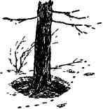 Дмитрий Зуев - Времена года