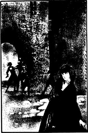 Александр Дюма - Шевалье де Мезон-Руж