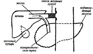 Владимир Гусев - Возвращение в молодость
