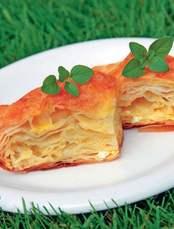 Надежда Бондаренко, Наталья Шинкарёва - Кулинарная энциклопедия. Том 6. Г...