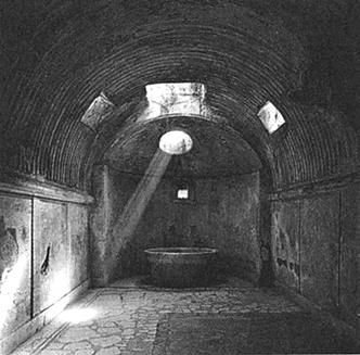 Елена Грицак - Популярная история медицины