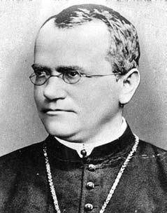 Вадим Левитин - Удивительная генетика