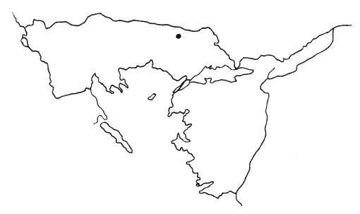 Татьяна Царева, Юлия Матюхина - Великие империи мира