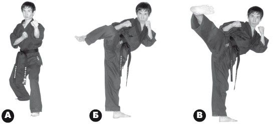 Чой Сунгмо - Азбука самозащиты