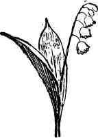 Дмитрий Зуев - Времена года