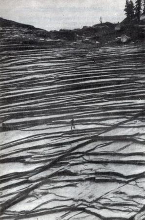 Ричард Флинт - История Земли