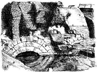 Елена Грицак - Популярная история медицины