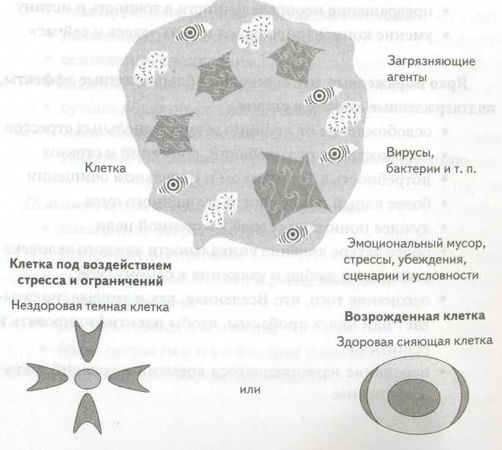 Роберт Джерард - Измени свою ДНК, измени свою жизнь