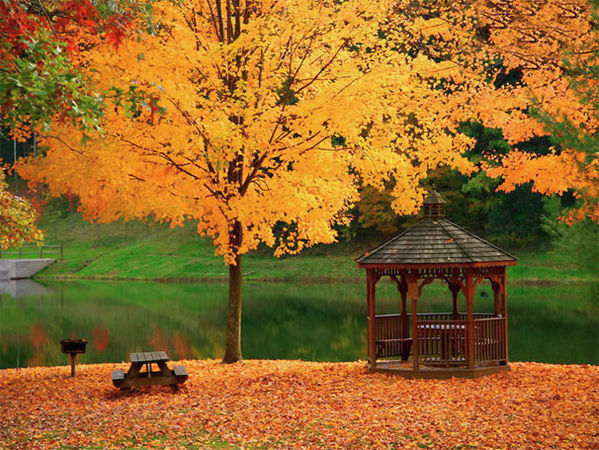 Юлия Арестова - Вечная осень