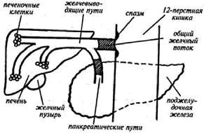 Владимир Гусев - Возвращение в молодость