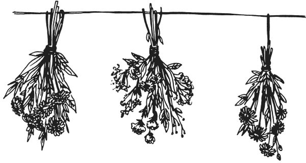 Татьяна Плотникова - Поделки из засушенных цветов и листьев