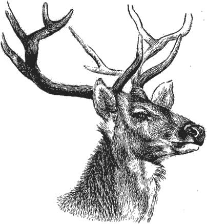 Ян Линдблад - Мир Книги джунглей