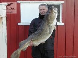 Владимир Гораль - Приключения моряка Паганеля. Завещание Верманда Варда