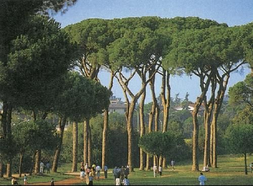 Ульрике Блеек, Филипп Цитцльшпергер - Рим. Ватикан. Пригороды Рима. Путеводитель