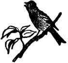 Времена года