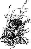 Дмитрий Зуев - Времена года