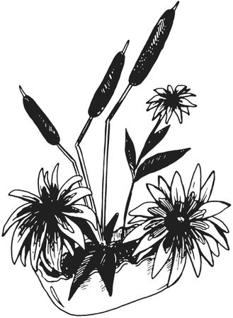 Татьяна Плотникова - Поделки из засушенных цветов и листьев