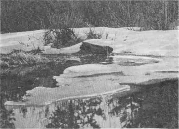 Дмитрий Зуев - Времена года