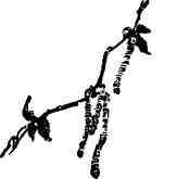 Дмитрий Зуев - Времена года