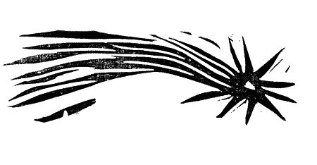 Анна Никольская - Апокалипсис Антона Перчика