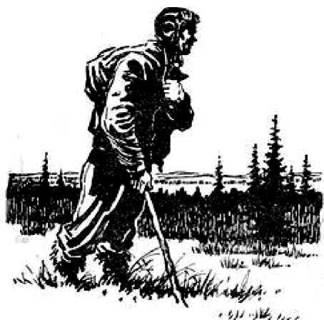 Сергей Кулик - Приключения капитана Кузнецова