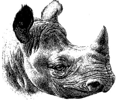 Ян Линдблад - Мир Книги джунглей