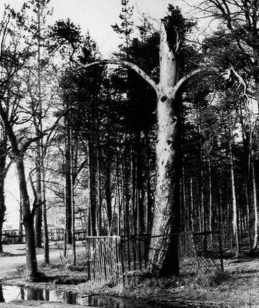 Сергей Глезеров - Удельная. Очерки истории