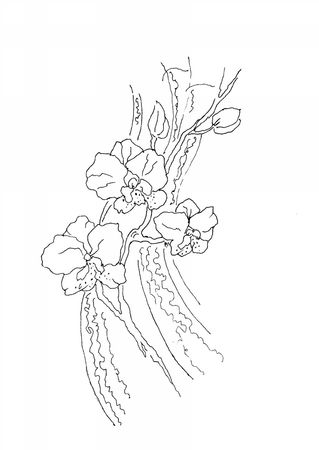 Валентина Хасанова - Ломтик манго