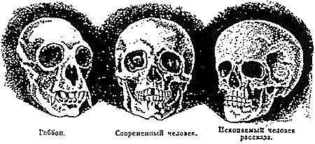Мартин Редклиф, Дремп и др. - Белые дьяволы
