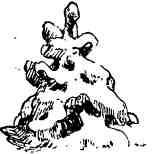 Дмитрий Зуев - Времена года