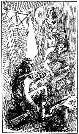 Густав Эмар - Том 20. Фланкер. Новая Бразилия