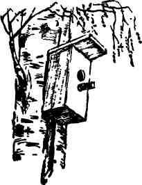 Дмитрий Зуев - Времена года