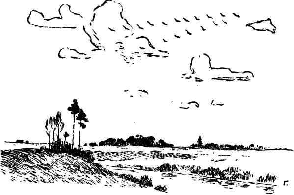 Дмитрий Зуев - Времена года