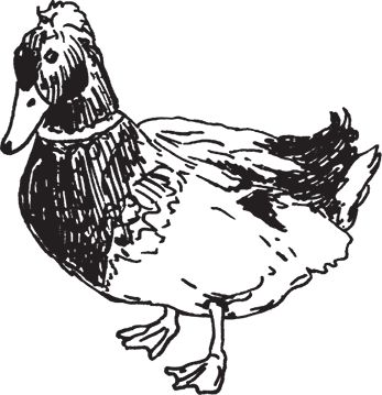 Сергей Кашин - Фермерское хозяйство. Доступное и успешное