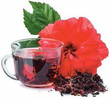 Надежда Бондаренко, Наталья Шинкарёва - Кулинарная энциклопедия. Том 6. Г...