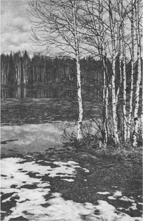 Дмитрий Зуев - Времена года