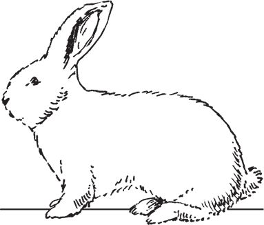 Сергей Кашин - Фермерское хозяйство. Доступное и успешное