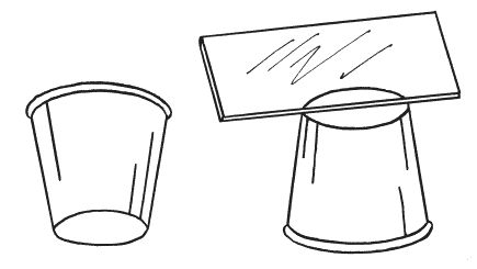 Светлана Ермакова, Светлана Хворостухина - Рассада на вашем участке. Уникальные...
