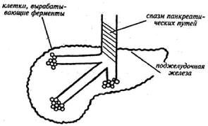 Владимир Гусев - Возвращение в молодость
