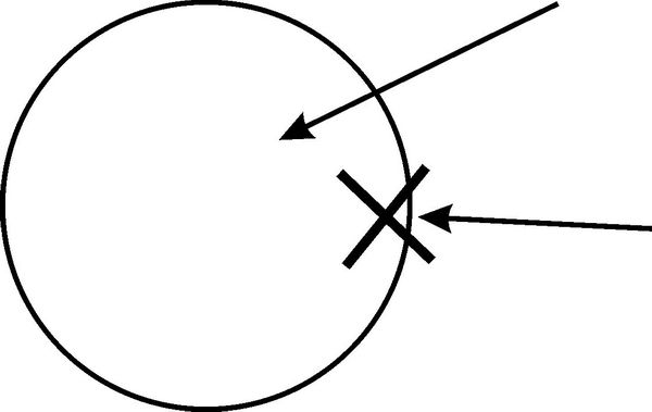 Вячеслав Гусев - Средство от болезней