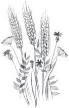 Коллектив авторов - Новый Завет в изложении для детей