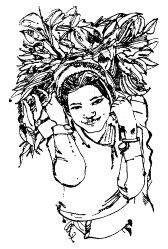 Сунил Джха - Непал: Обычаи и этикет