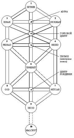 Зор Алеф - ПРАКТИКА САМОСТОЯТЕЛЬНОГО ОККУЛЬТНОГО ЛЕЧЕНИЯ