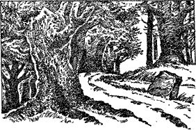 Дмитрий Браславский - Подземелья Черного замка