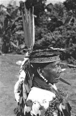 Елена Грицак - Популярная история медицины