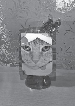 Любовь Янковская - Поделки из пластиковых бутылок