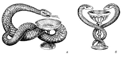 Елена Грицак - Популярная история медицины