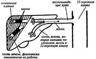 Владимир Гусев - Возвращение в молодость